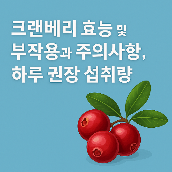 크랜베리 효능 및 부작용 썸네일 이미지