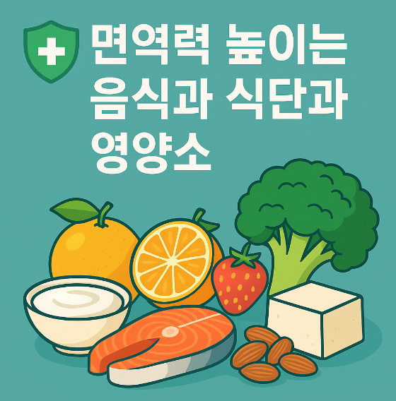 면역력 높이는 음식과 식단과 영양소 썸네일 이미지