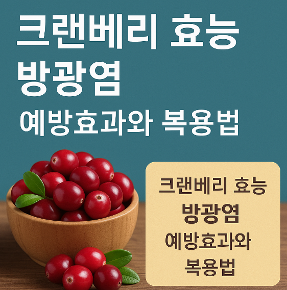 크랜베리 효능 방광염 예방효과와 복용법 썸네일 이미지